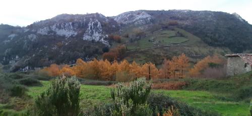 Ondarbaso Apartamentos Rurales III