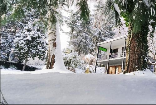 Serok: Casa nel Bosco con Bio Sauna