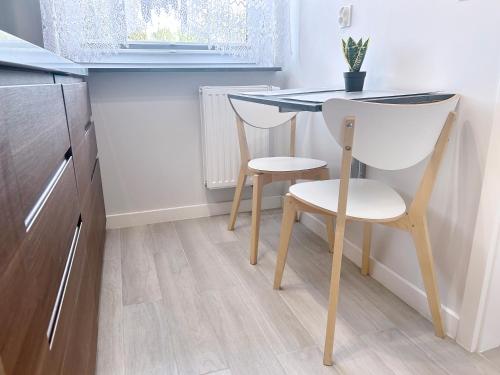Apartament Neon