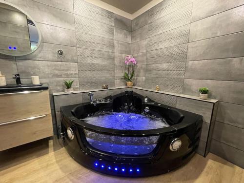 L’Oasis…Appt Balnéo-Terrasse. - Location saisonnière - Troyes