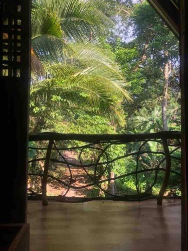 Cabina Playa Cedros in 蒙提祖馬