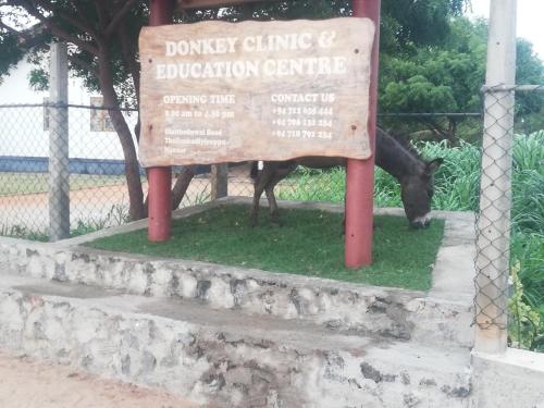 Donkey clinic and education center - Mannar