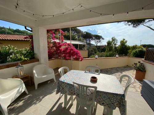 Beach apartments Isola d'Elba 5