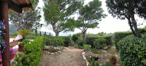 Panorama mozzafiato Argentario - Cala Piccola