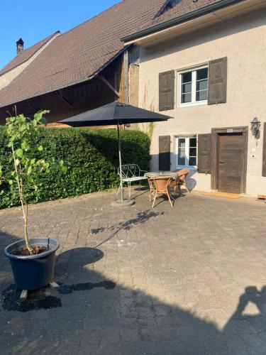 المرافق, Ruhige 2 Zimmer Wohnung in Waldenburg