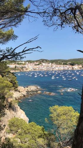 The Golden Oak in Calella Centre - 100m from beach