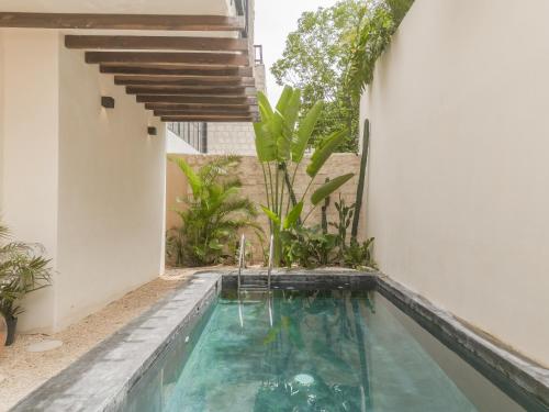 New Aura Jungle Getaway in Tulum, Mexico