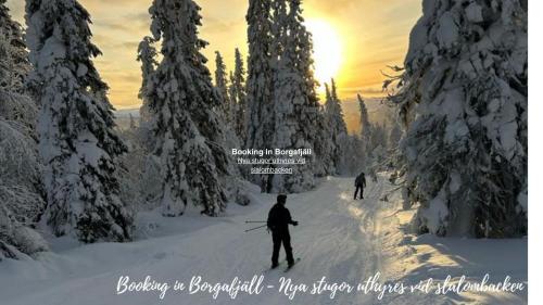 Book in Borgafjäll - New cabins for rent at the slalom slope