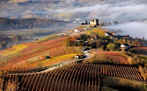 CASA DI GIULIA con soggiorno e cucina, camera matrimoniale con tetto a vista e grande parco circostante