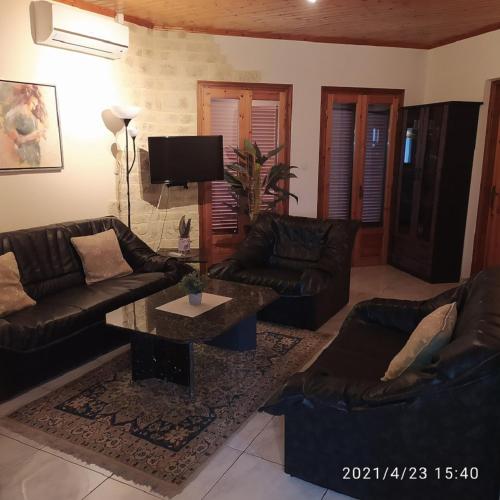 Aspri Villa in Ammoudia
