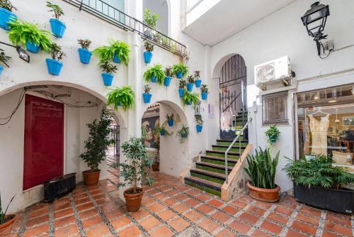 A relaxed bohemian vibe in Old town - image 2