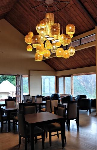 Great food & dining
