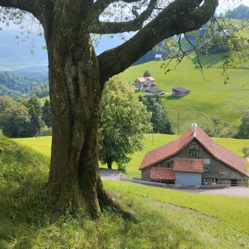 Dom wiejski Artur in Goldingen, Schweiz