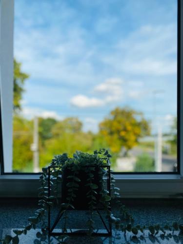 my exclusive home my exclusive home