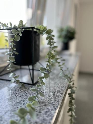 my exclusive home my exclusive home