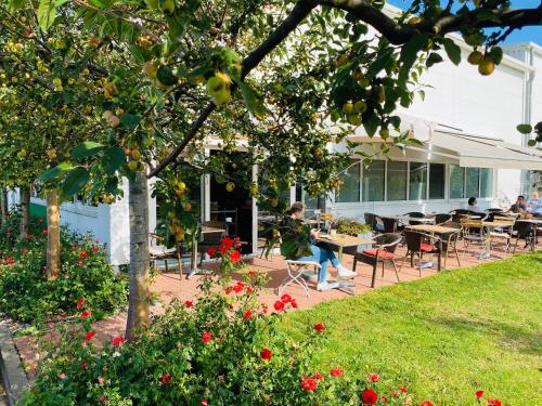 my exclusive home my exclusive home