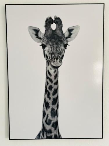 my exclusive home my exclusive home