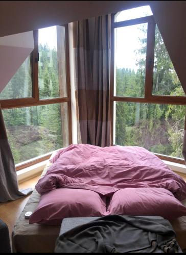 Cozy Studio at The Castle - Pamporovo - Apartment