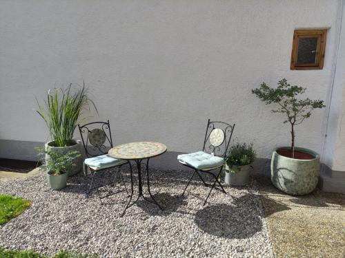 Kert, Alpflower in Halblech