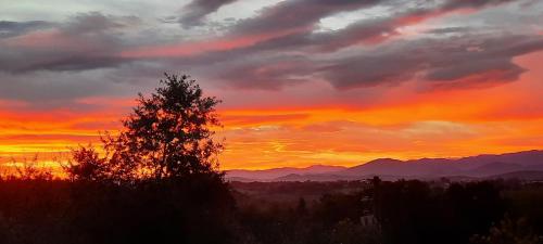 Pyrenees View - Vues Fantastique, Parking Gratuit Sur Place Et Près De La Ville 50m2 - Apartment - Saint-Gaudens