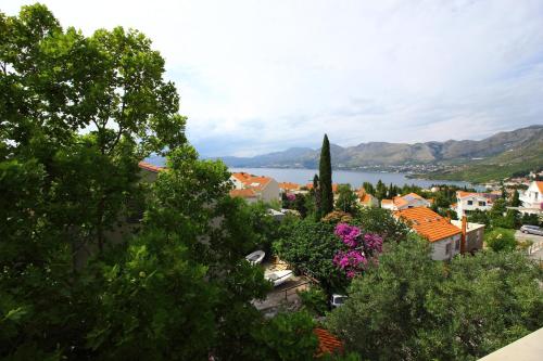 Apartmani Dub - image 13