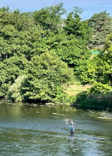 *A setting between Dordogne and swimming pool*