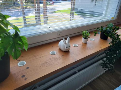 Studio central - easy check-in, free wifi & parking, Rovaniemi (fotografie 6)