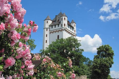 Közeli látványosságok, Loft in Eltville am Rhein - 2 DZ in Eltville am Rhein