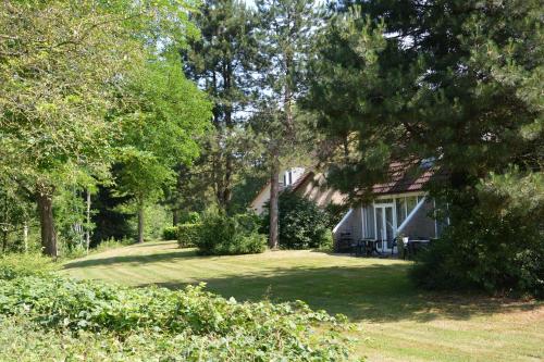 Kert, Vakantiehuis de Vennen in Vlagtwedde Parkeren voor de deur in Sellingen