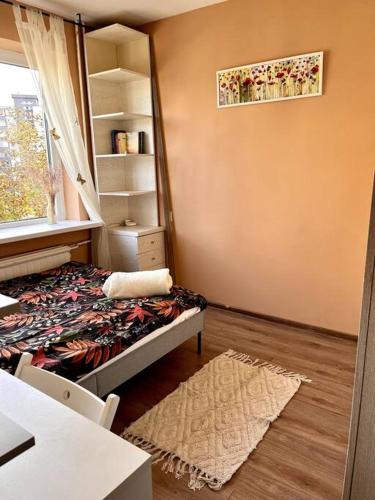 Cozy apartment in Kaunas
