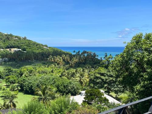 496203074 Firefly Estate Bequia