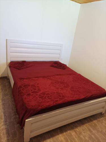 משק 38 תל תאומים