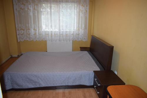 Accommodation in Municipiul Baia Mare