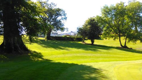 New Forest Estate Lodges