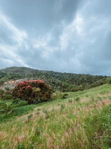 Sitio Ancestrale - Melhor lugar de Santa Teresa-ES