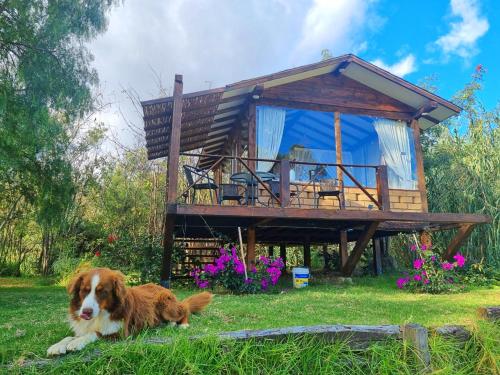 Hotel La Villa de Victoria Villa de Leyva