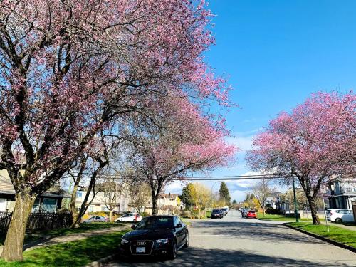 Charming East Van Hideaway - Near SkyTrain in Vancouver, Canada