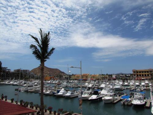 Marina Cabo Plaza Town & Beach Condos in Cabo San Lucas, Mexico