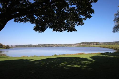 ディングルフィング Landgasthof Baumgartner ホテル 眺望