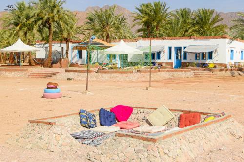 Palm Valley camp in Nuweiba