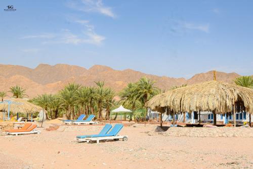 Palm Valley camp in Nuweiba