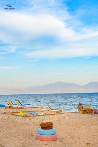 Palm Valley camp in Nuweiba