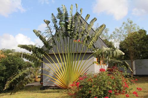 Mapeni Lodge, Kidenge (zdjęcie 6)