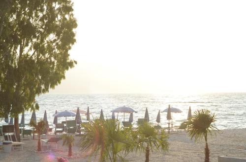 Hotel Garden - image 7