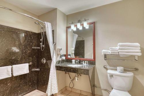 Double Suite with Roll-In Shower - Accessible/Non-Smoking