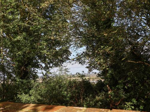 Hill Top Cottage - image 4