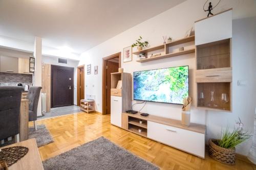 . Lux Apartmani Rakić
