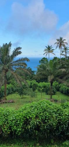 周邊環境, Casa Mãe - Inn (Casa Mae - Inn) in 普林西比
