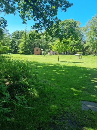 Garden, Sika hut in Wareham