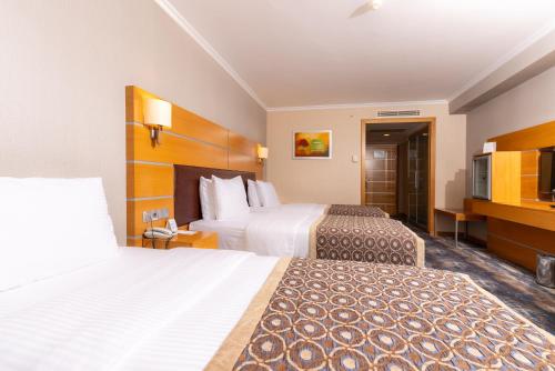 Ankara Plaza Hotel - image 5